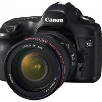 Обзор Первый